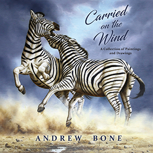 Anglo-Boer War / African Studies